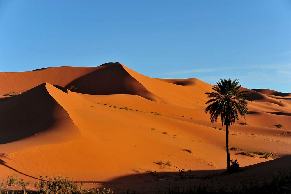 Sahara Abenddämmerung