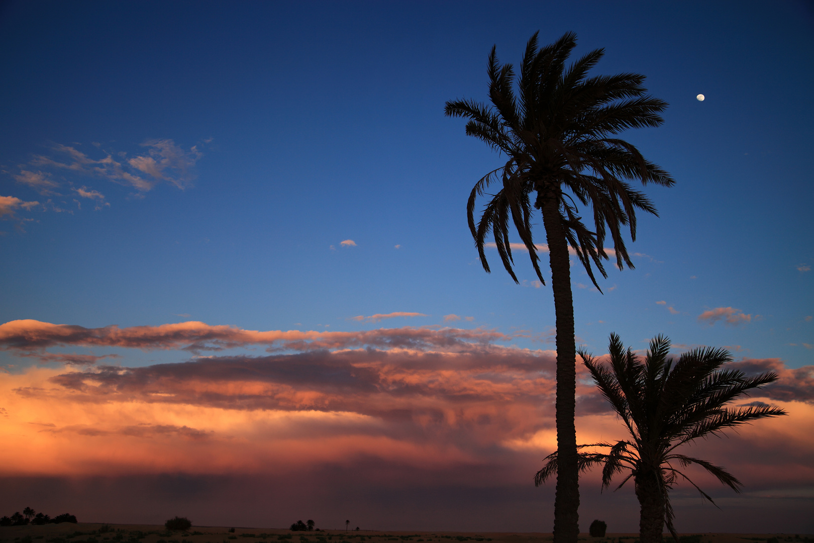 Sahara am Abend