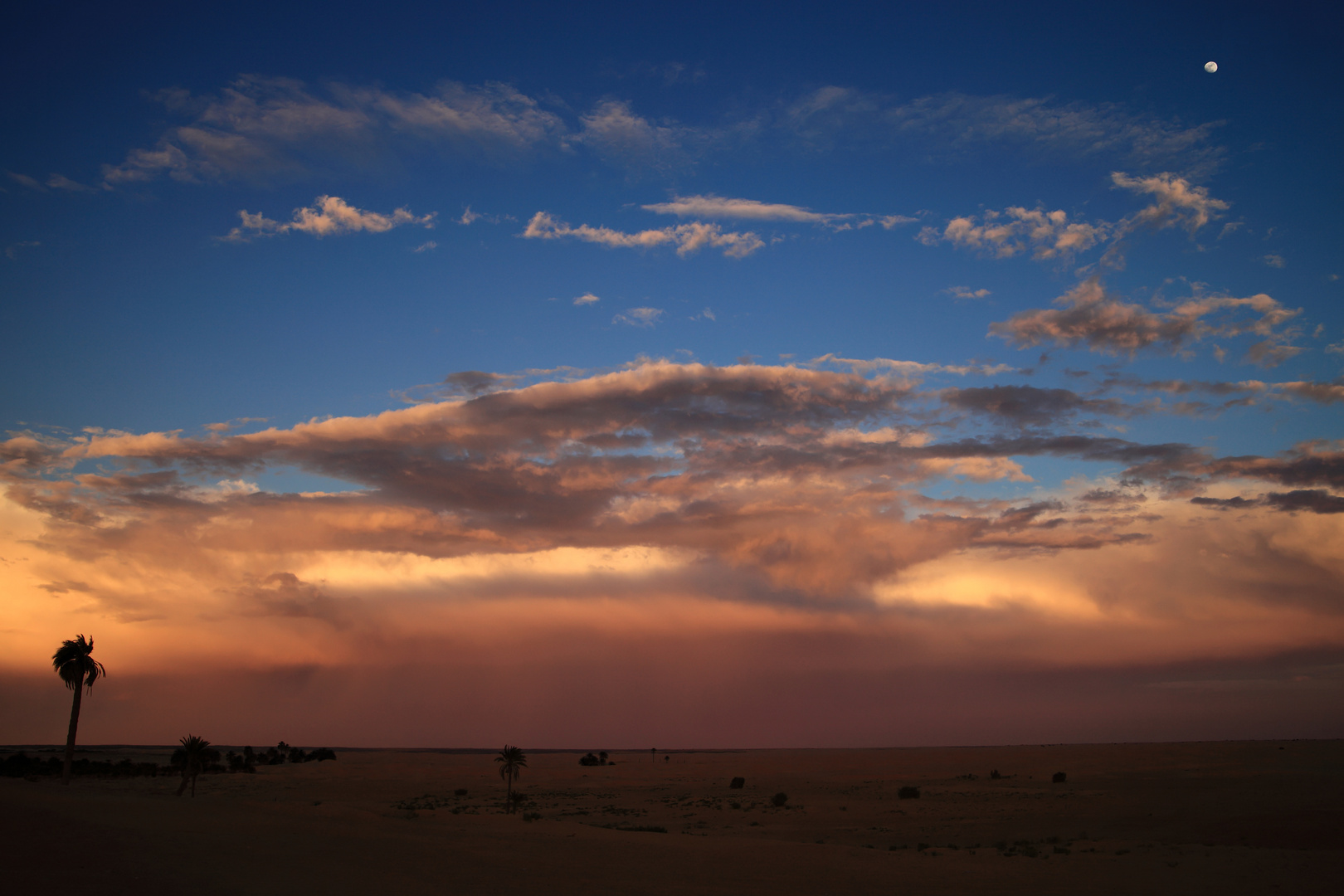 Sahara am Abend