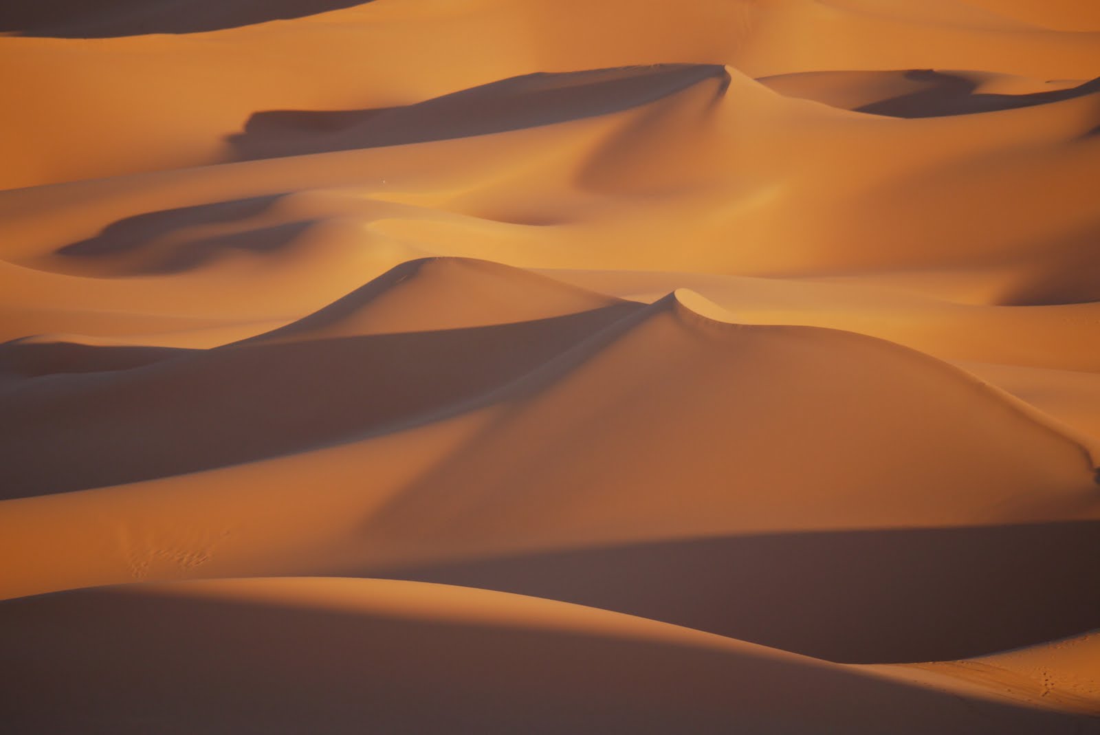 Sahara