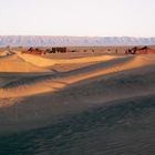 Sahara bei Zagora