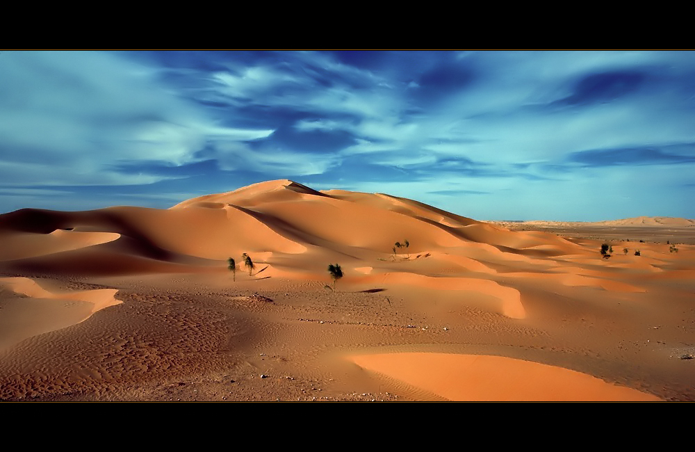 Sahara