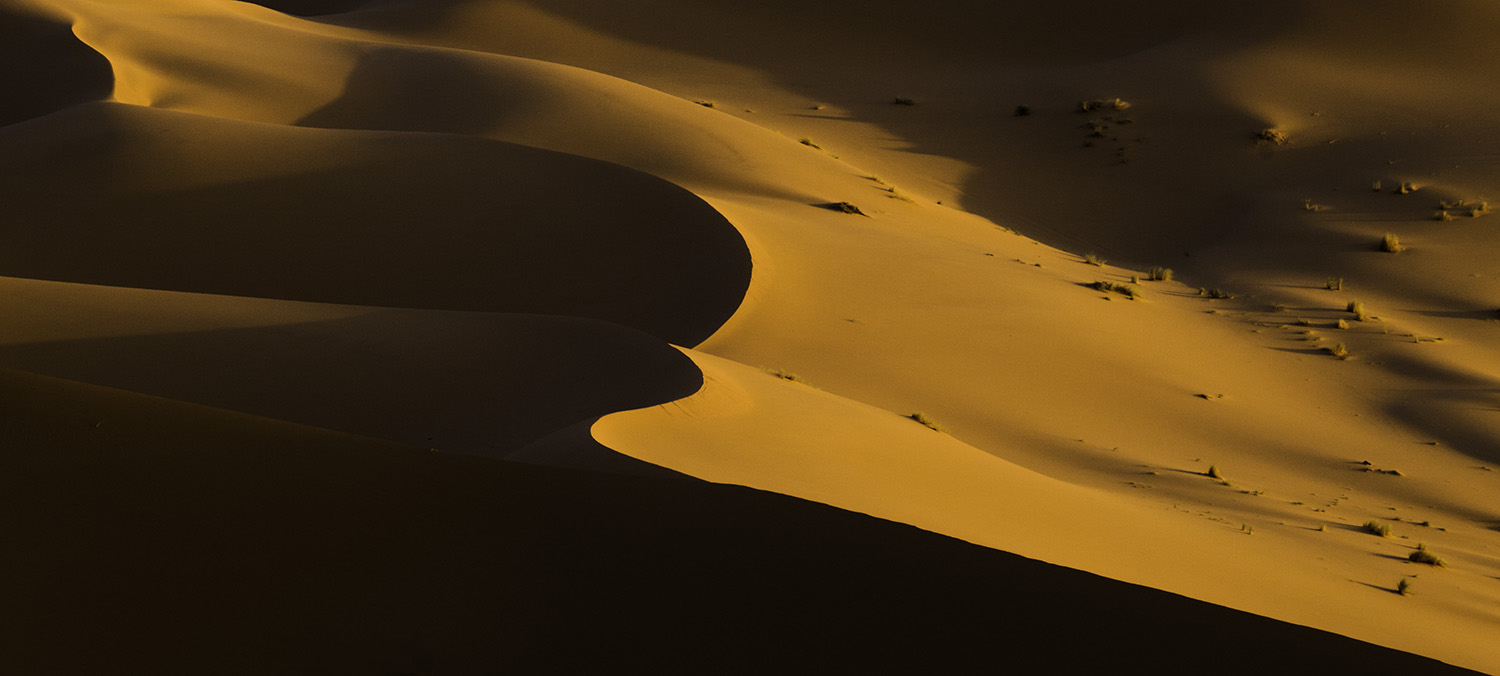 Sahara 