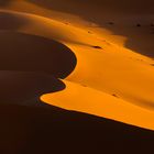 Sahara 