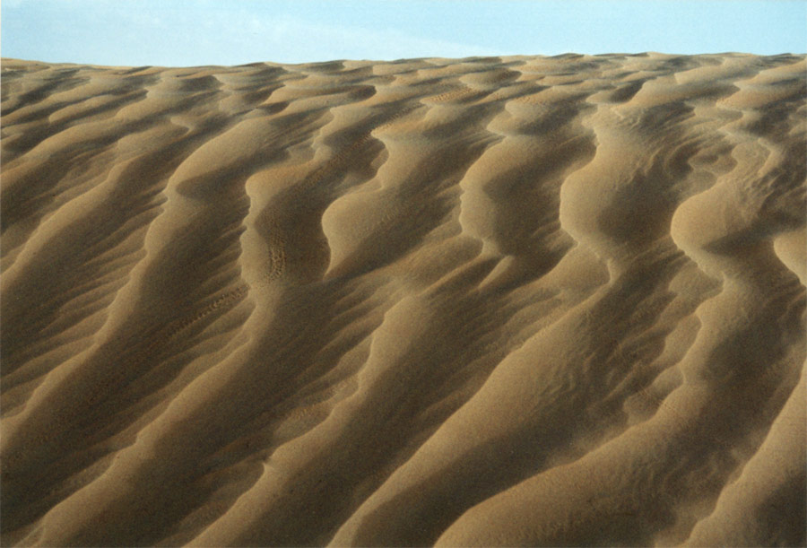 Sahara