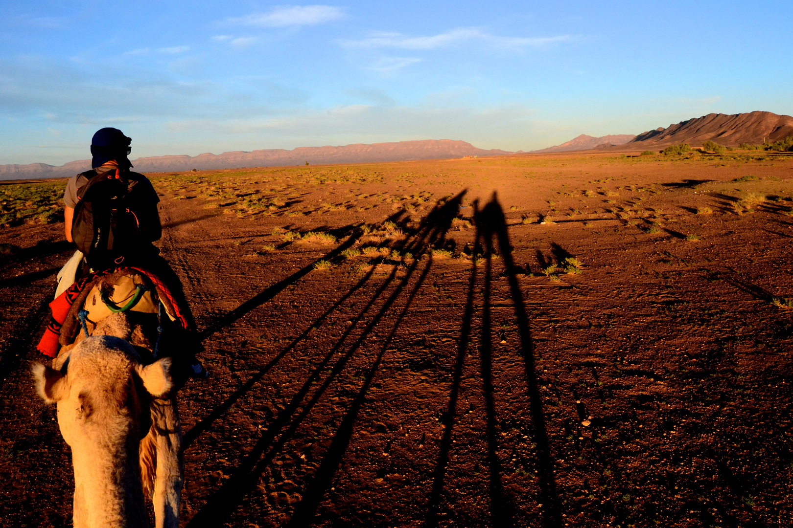 Sahara Desert