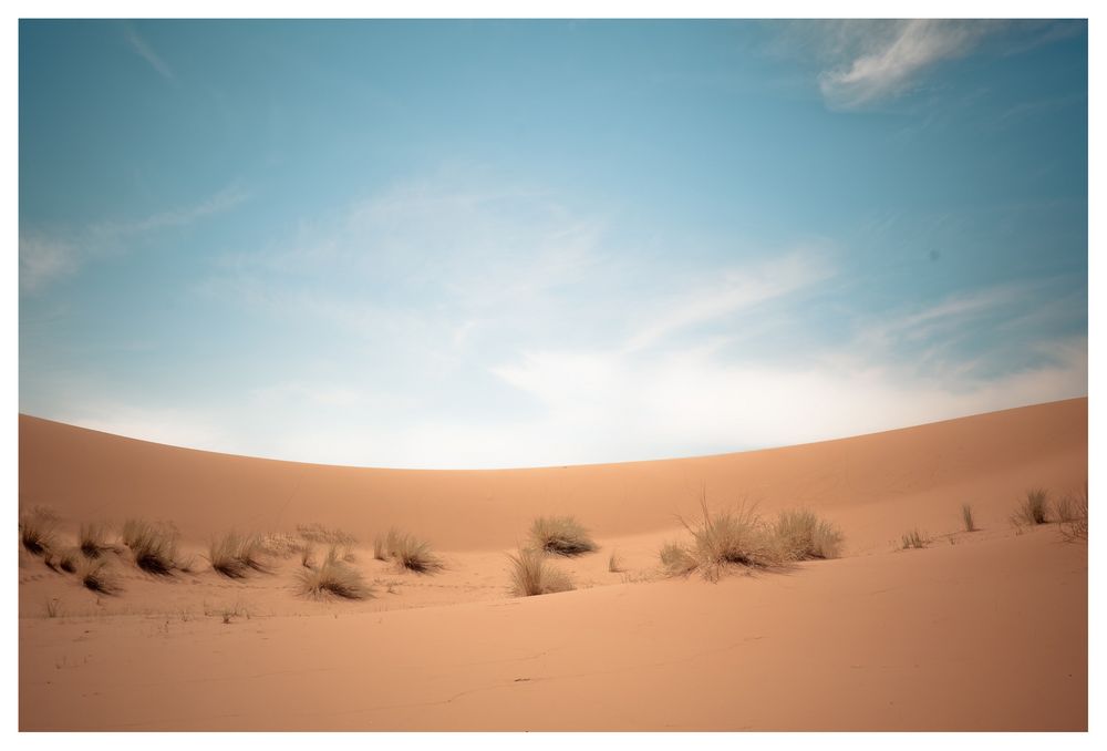 Sahara - Düne von Oliver1 Krüger 