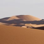 Sahara