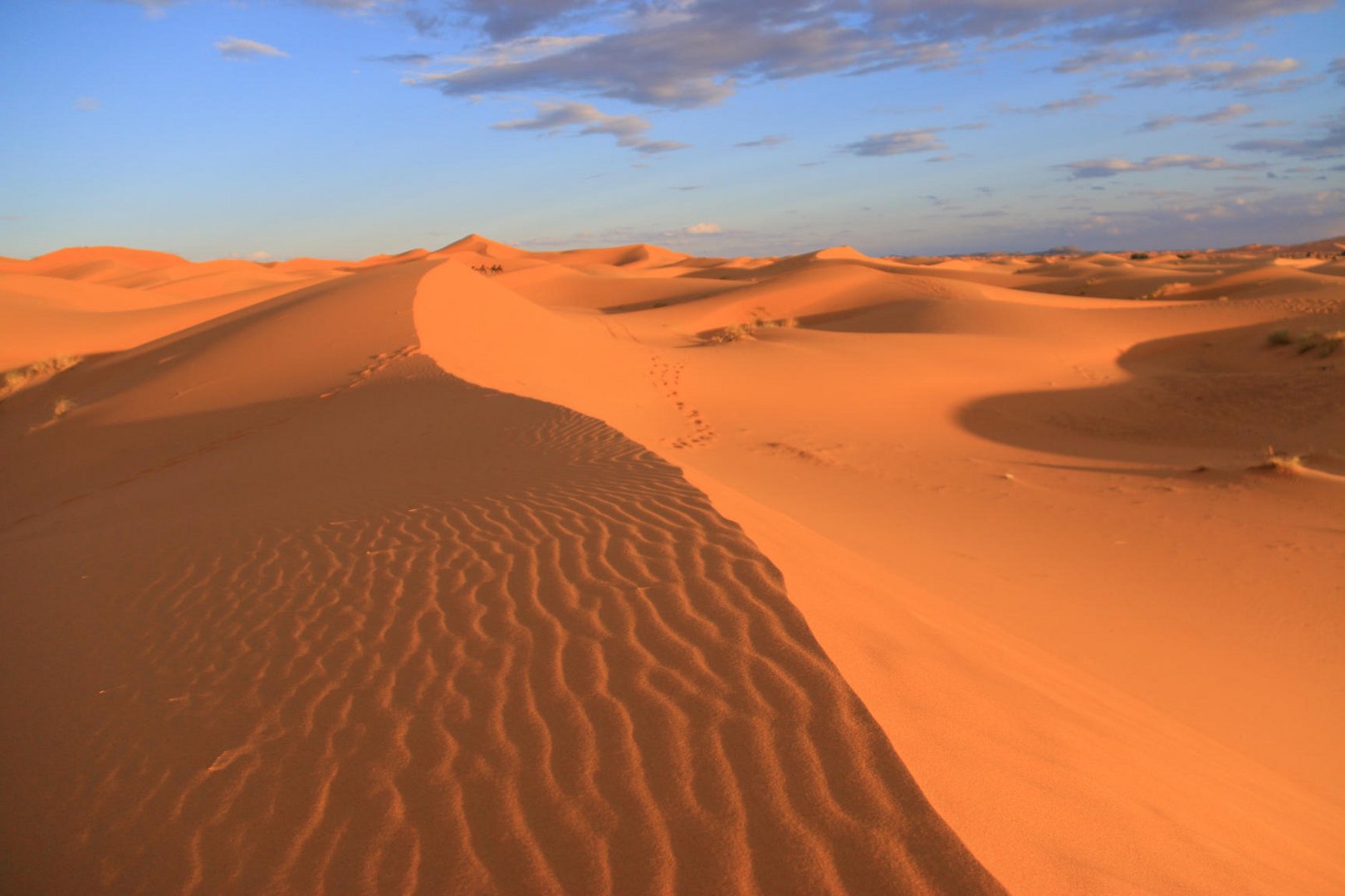 Sahara Erg Chebbi -Marokko