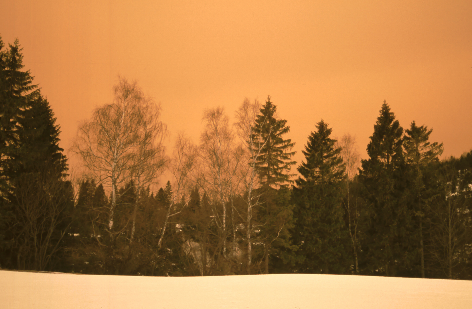 Sahara in Mittenwald