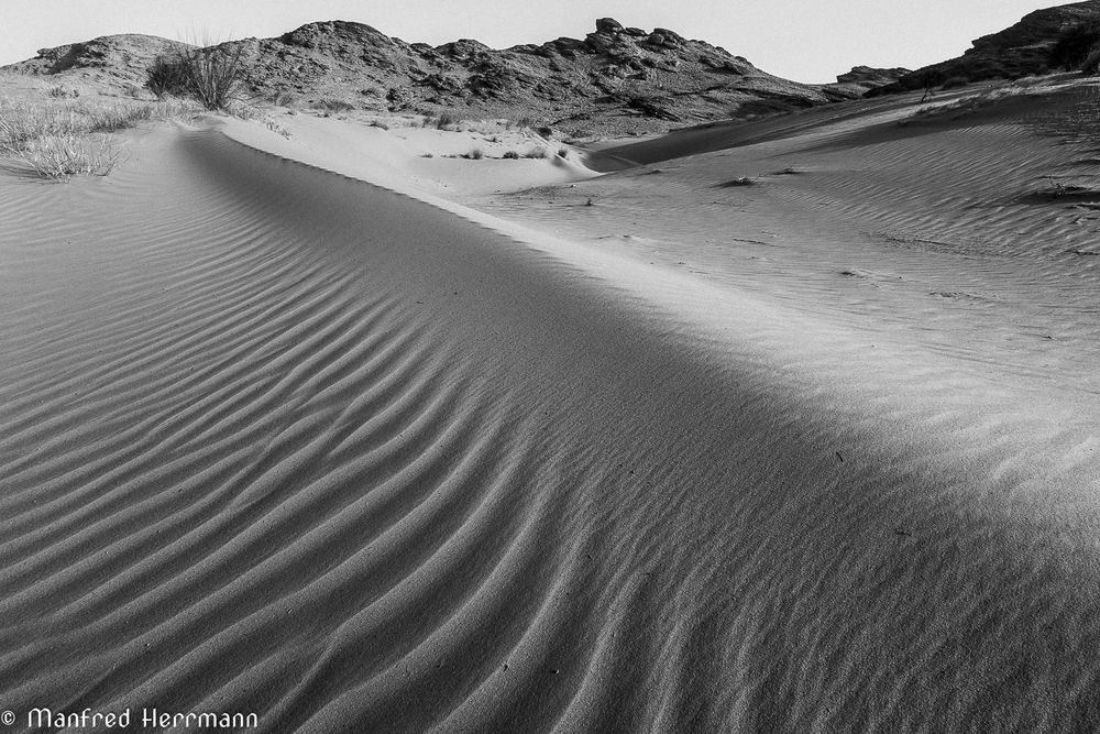 Sahara in SW #2