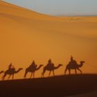 Sahara Karawane in der Wüste bei merzouga marokko