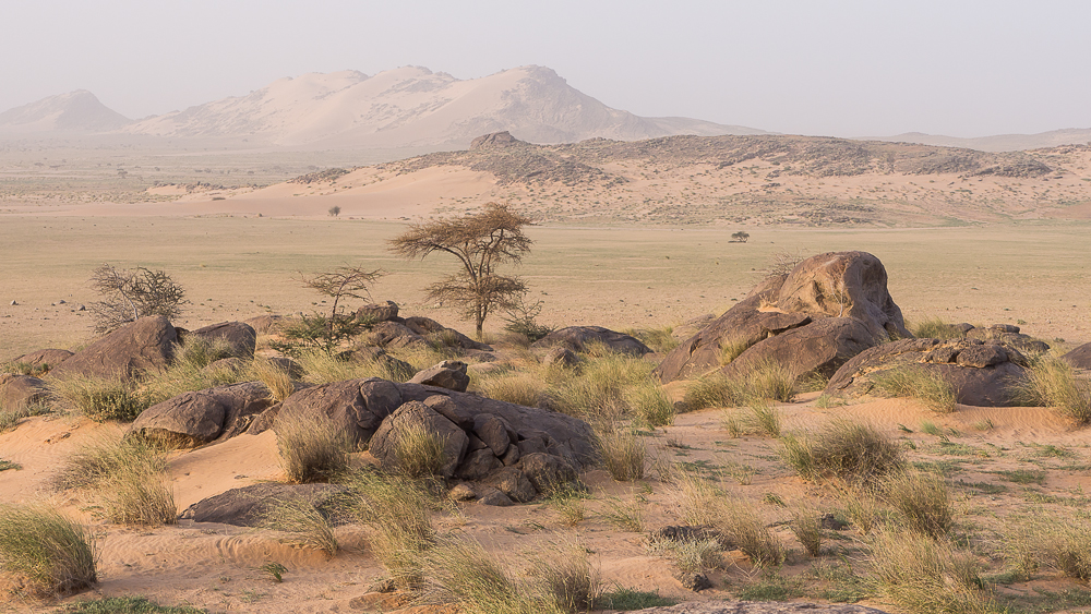 Sahara Landschaft 1