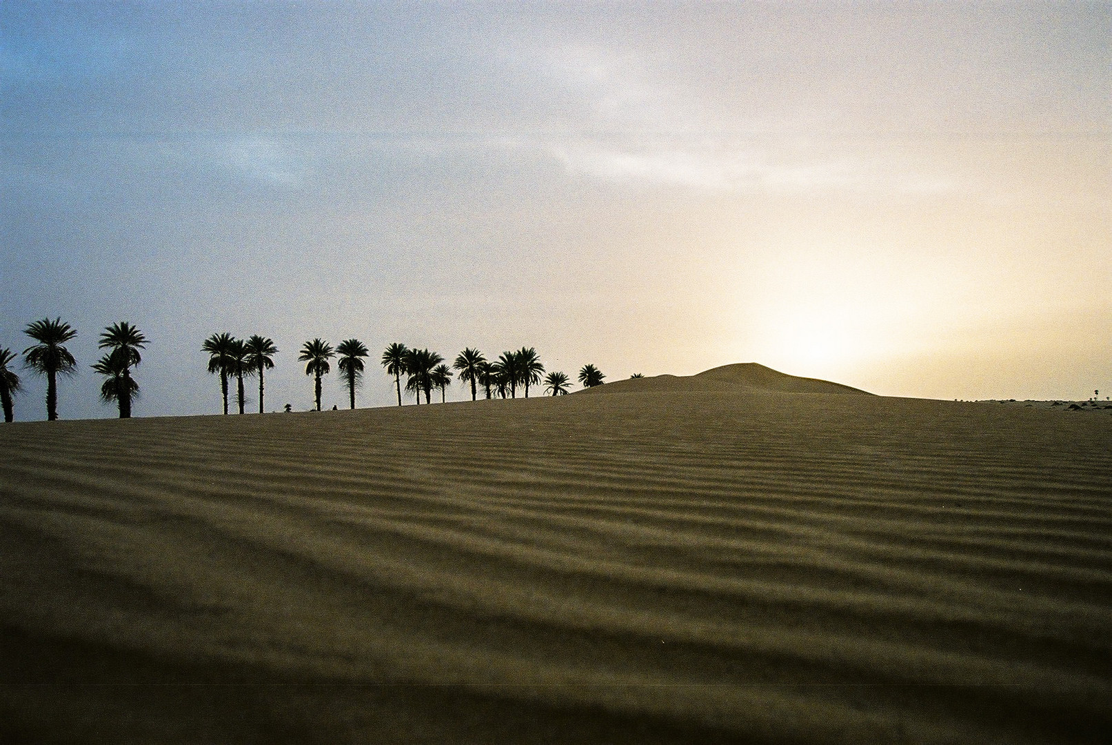 sahara - libia 2006