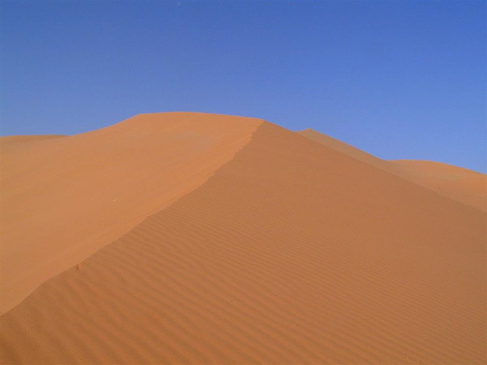 Sahara Libico
