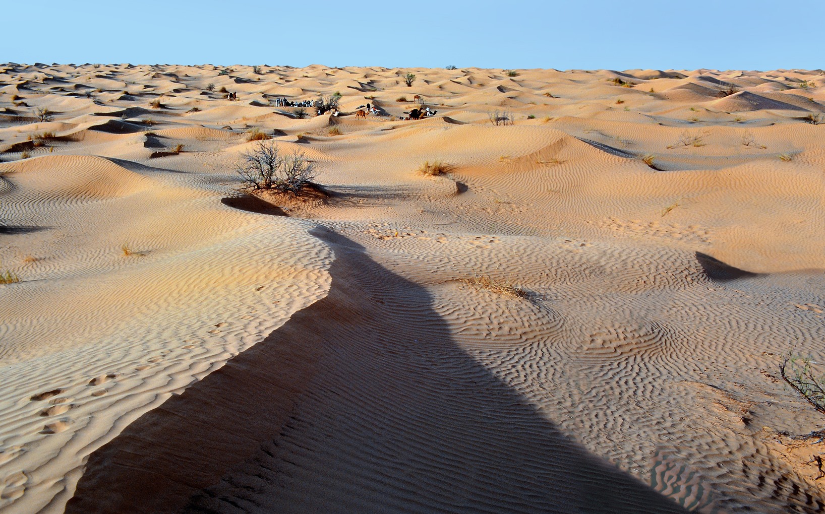 Sahara Nachtlager