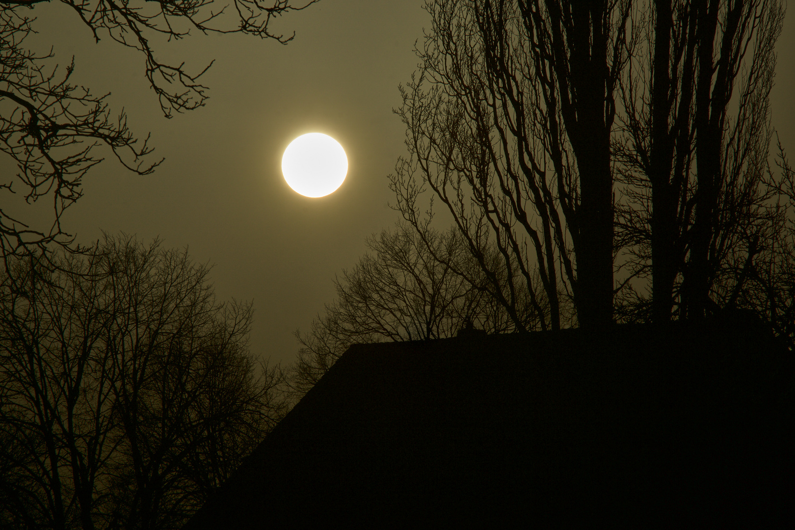 Sahara - sand - sun - set