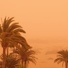 Sahara Sandsturm 