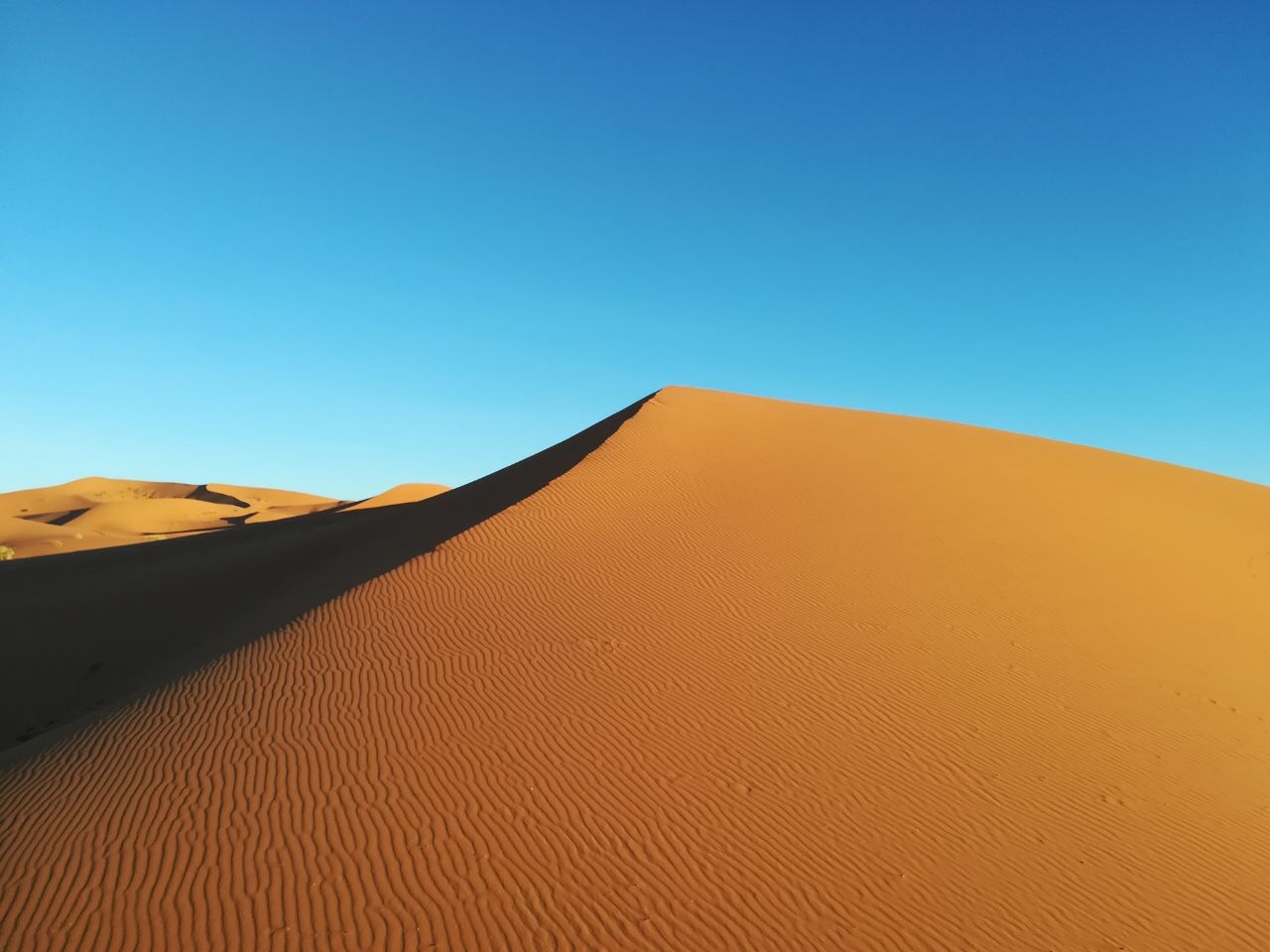 Sahara Skyline