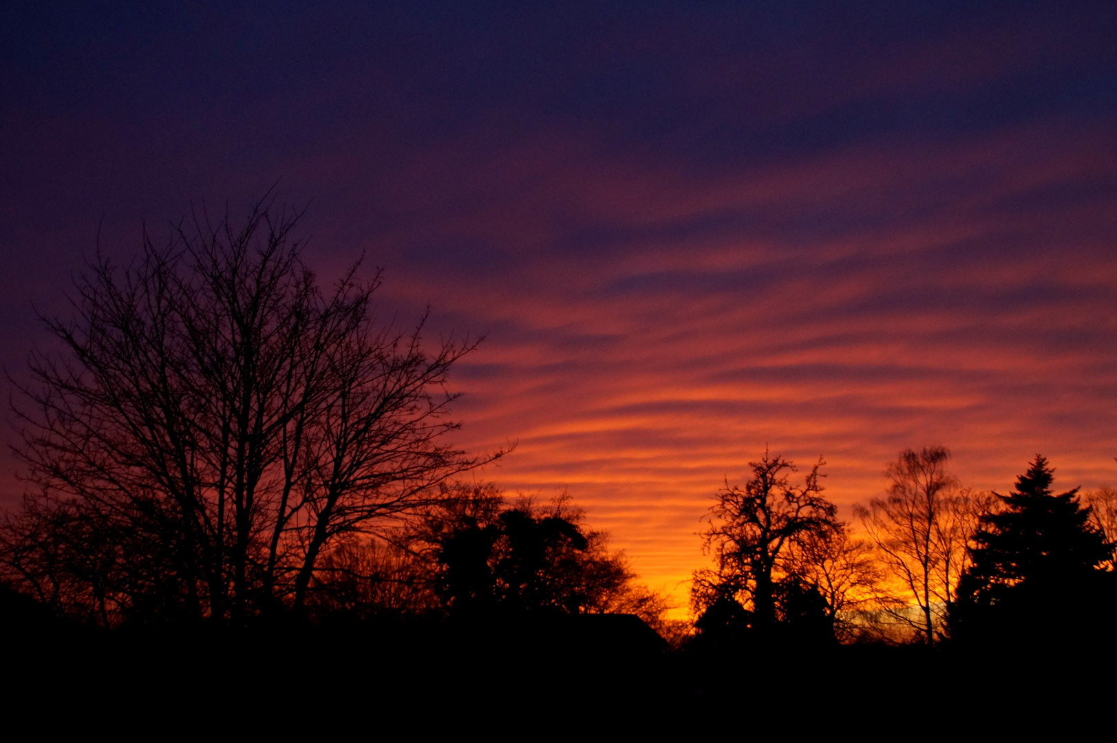 Sahara sunset