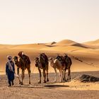 Sahara Tour 2