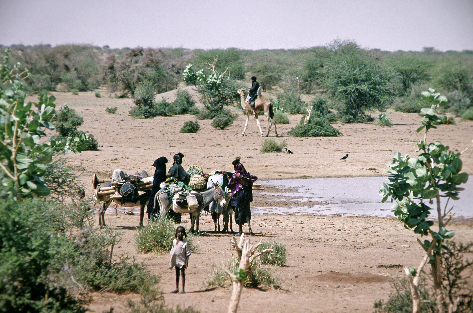 Saharadurchquerung von 2002, Niger