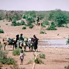 Saharadurchquerung von 2002, Niger