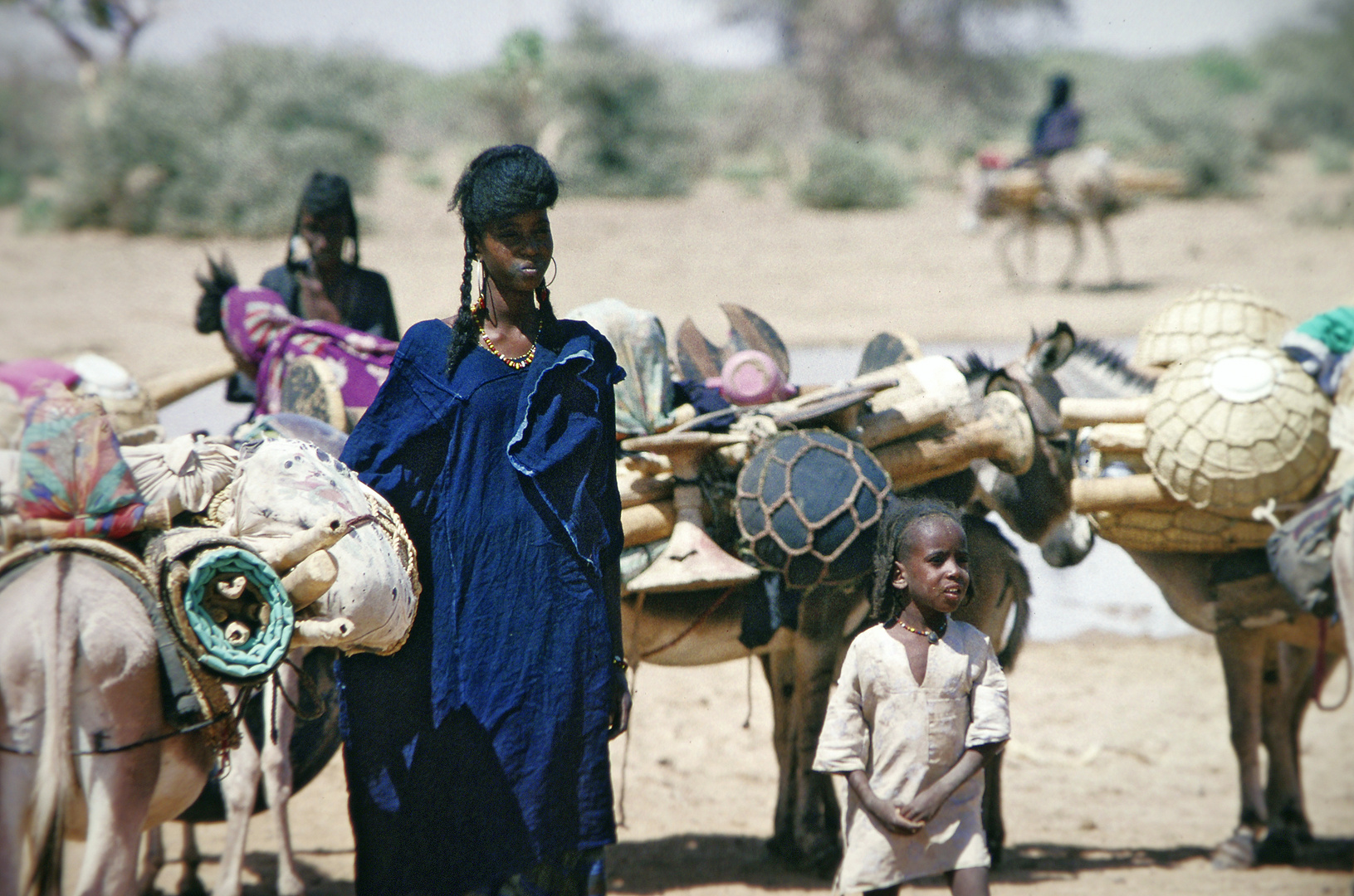 Saharadurchquerung von 2002, Niger