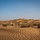 Saharalandschaft