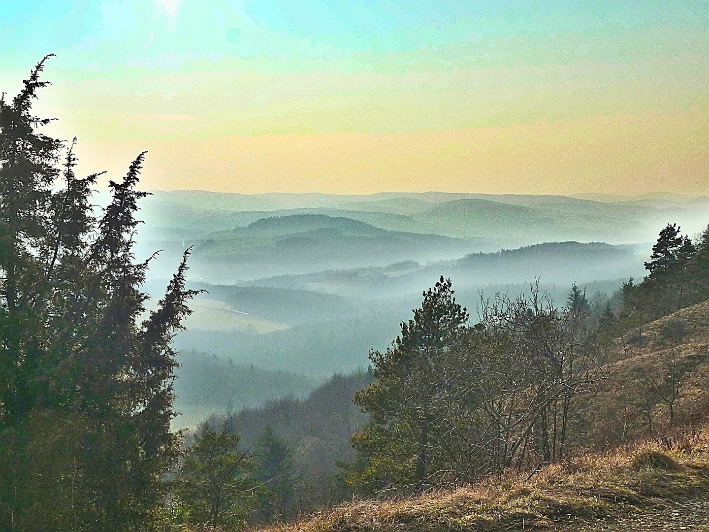 Saharanebel am Hörselsberg