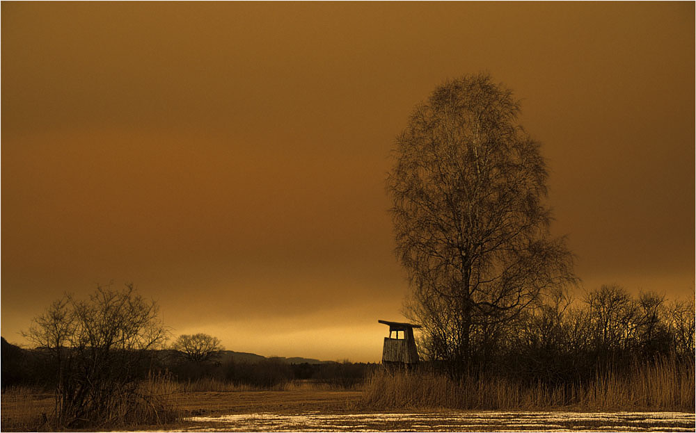 Saharasand über Rietlandschaft