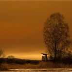 Saharasand über Rietlandschaft