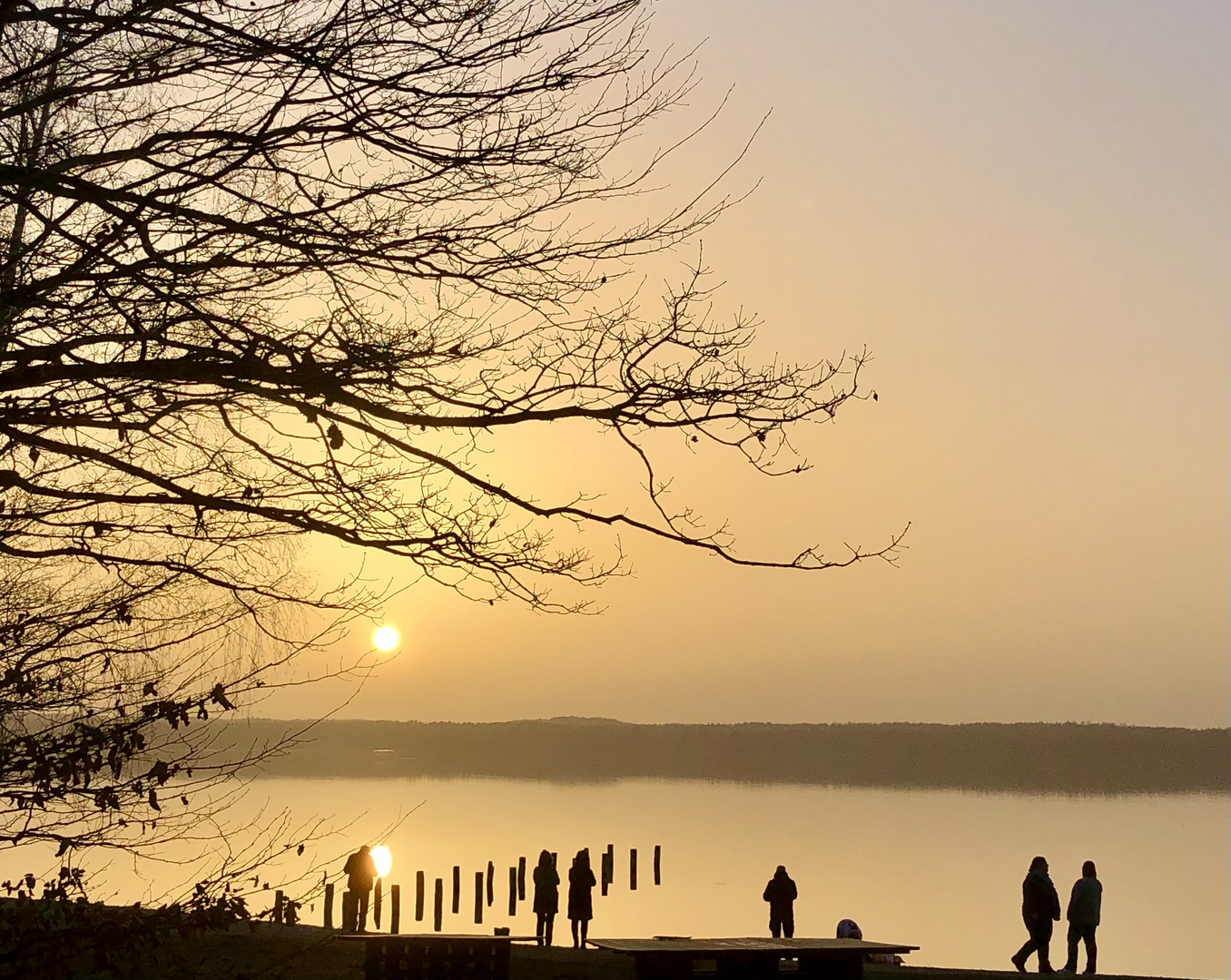 Saharastaub am Starnberger See