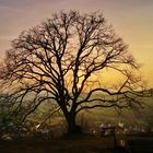 Saharastaub bei Sonnenuntergang.