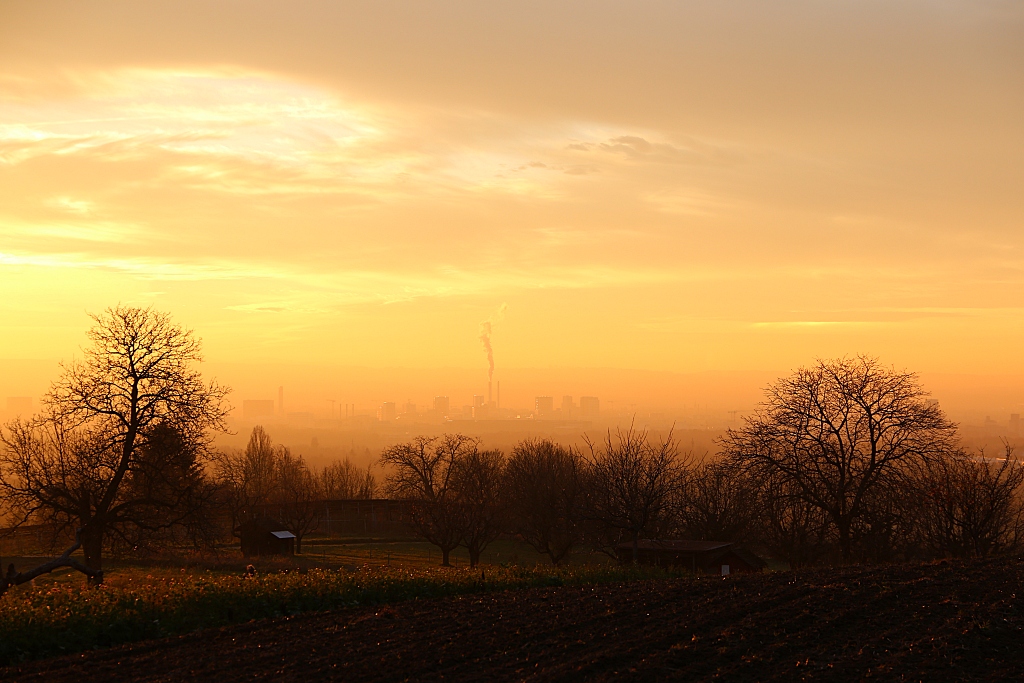 Saharastaub und Sonnenuntergang