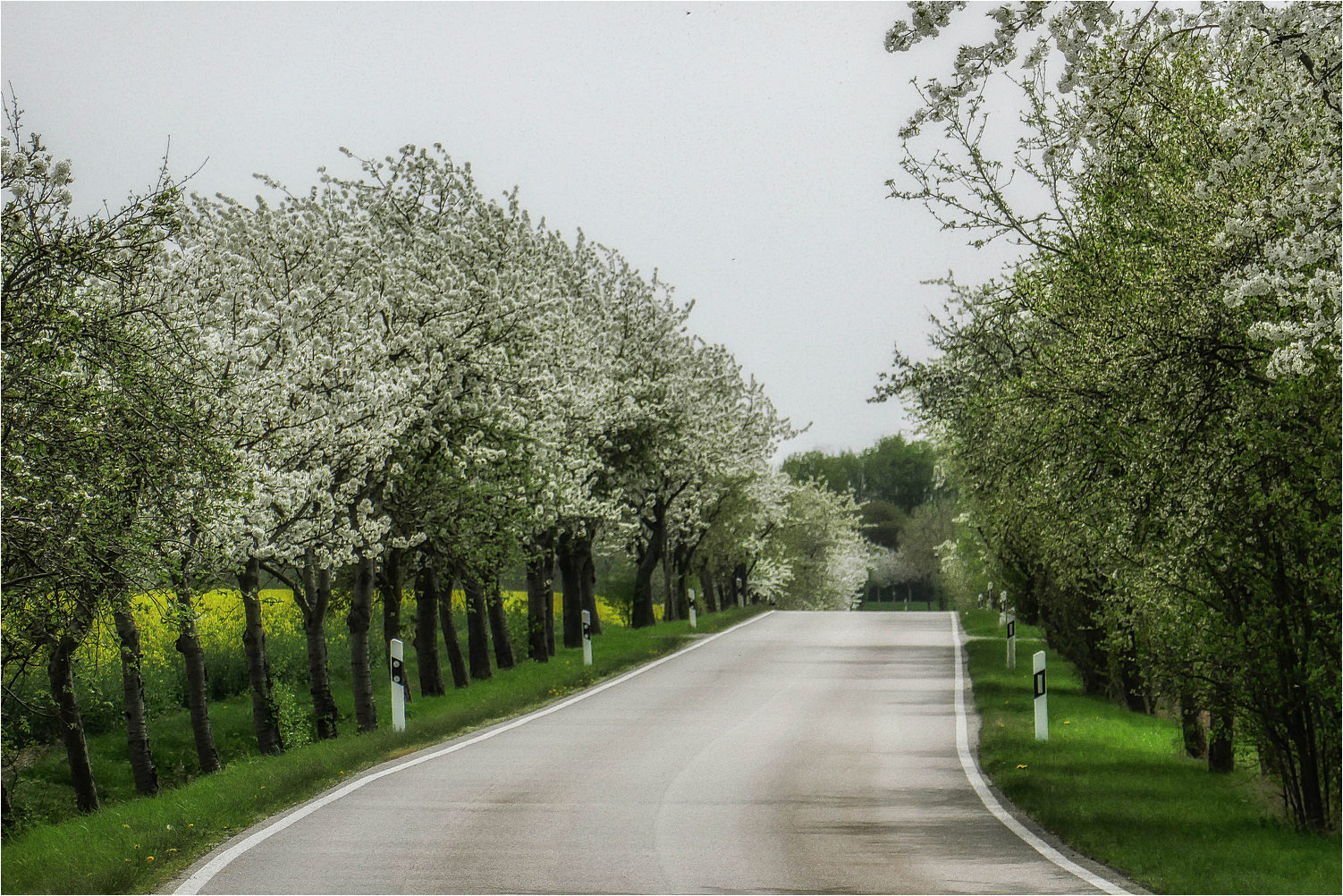 Saharastaubstraße