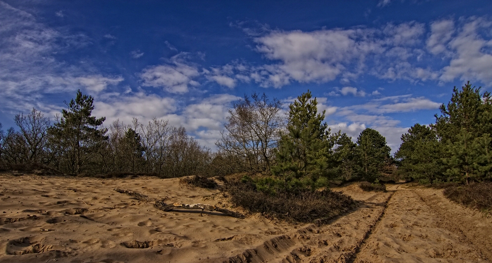 Sahlenburger Heide