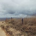 Sahlenburger Strand