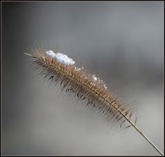 Sahnehäubchen