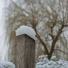 Sahnehäubchen aus Neuschnee bei 0° C