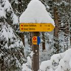 Sahnehäubchen im Spätsommer