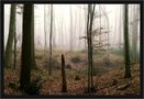 ... sahst du den Wanderer ? ... von Th. G.