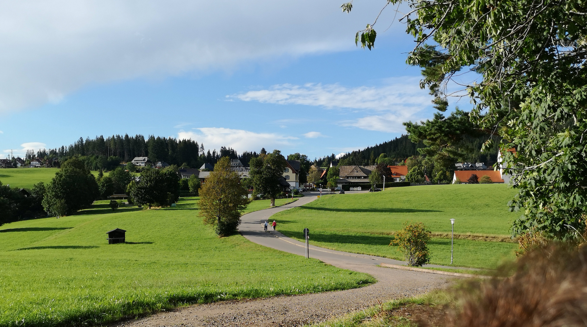 Saiger Landschaft