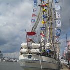 SAIL 2010