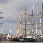 Sail 2010