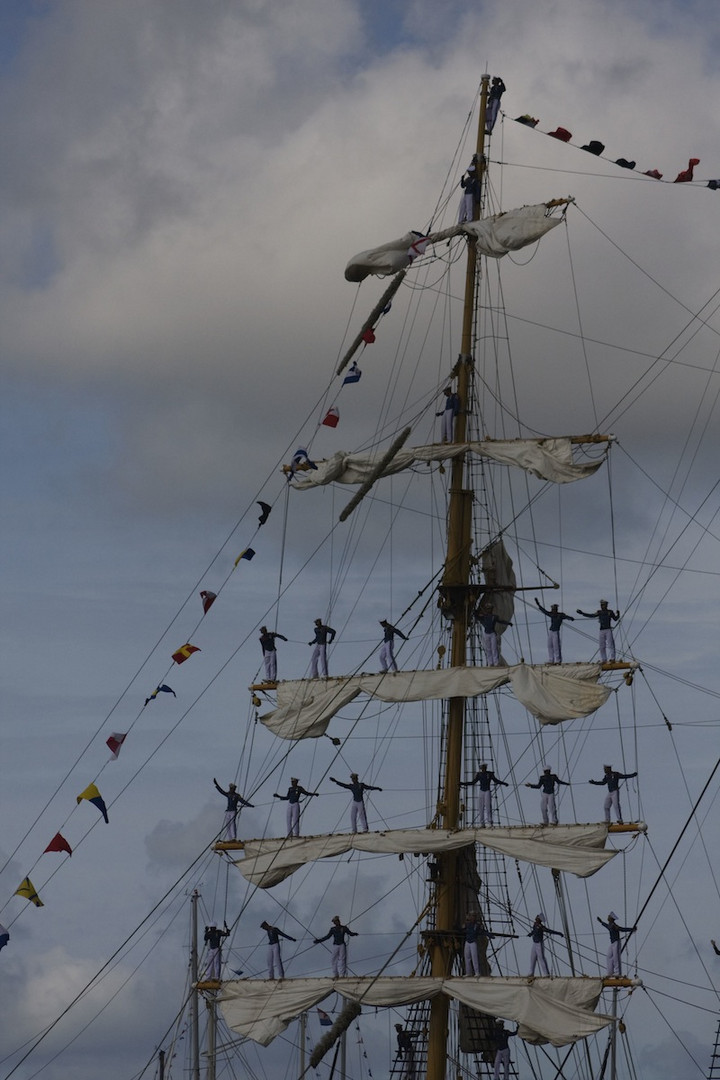 sail 2010 amsterdam