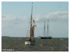 Sail 2010 Bremerhaven I