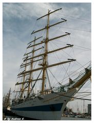 Sail 2010 Bremerhaven II