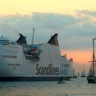 Sail 2011 Rostock