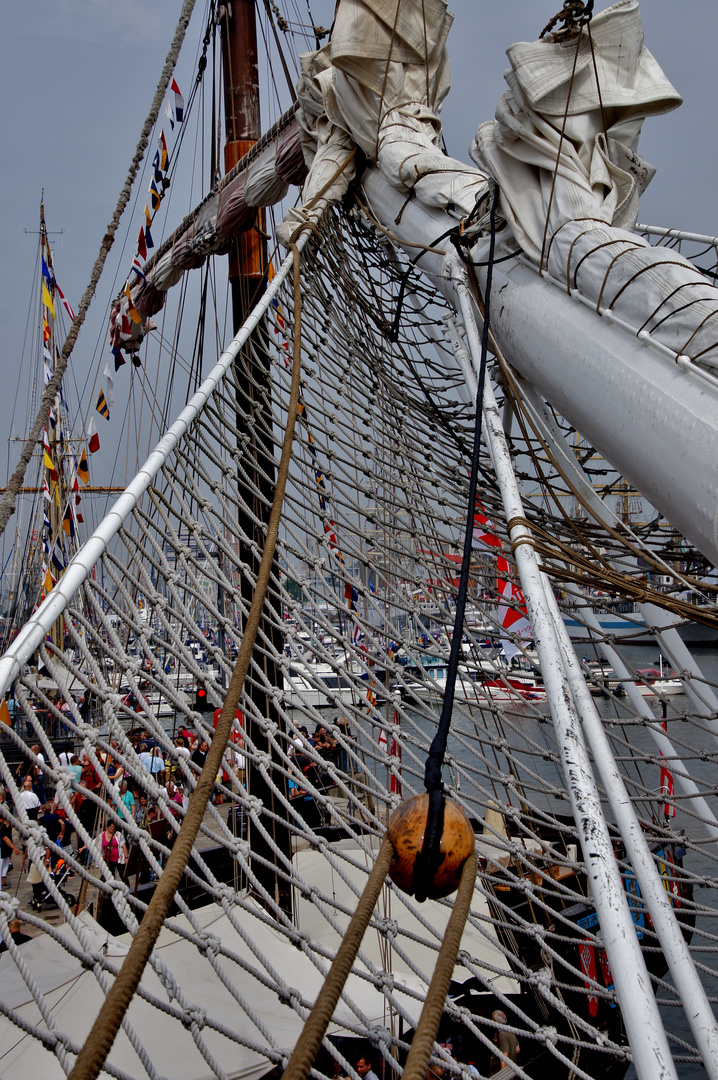 Sail 2015